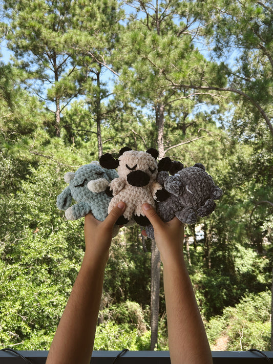 Sleepy Cow Collection